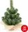 Erbis Xmas Trees ER0052, 30 cm