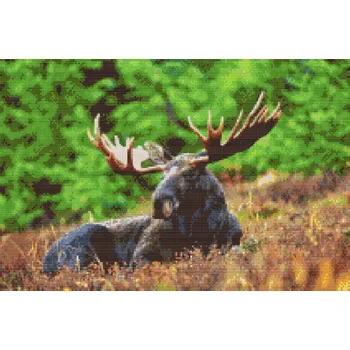 Diamantové malování Diamantové malování - Los Velikost: 40x60cm, Rámování: Pouze srolované plátno, Diamanty: Čtvercové