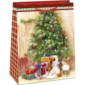 Dárková taška ARGUS Dárková papírová taška (29 x 38 cm) 08830443