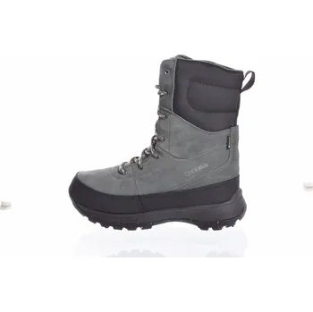 Dámská obuv Dámská zimní obuv Torne 2 W Biosole GTX švédské značky Icebug Velikost: 38, barva: PineGrey