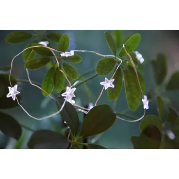 Vánoční dekorace Světelný řetěz DEW DROP EGLO 411069