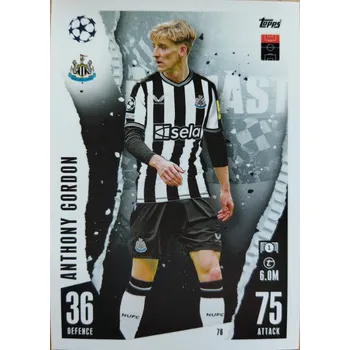 Sběratelská karetní hra Anthony Gordon