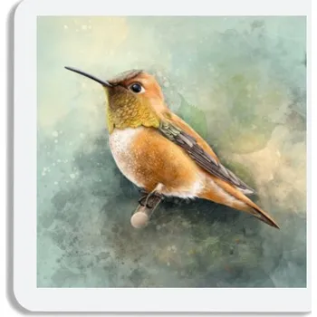 Podtácek Podtácek s potiskem Kolibřík rezavolesklý - podtácek