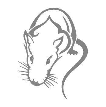 Samolepící dekorace SAMOLEPKA Krysa 004 levá (17 - šedá) NA AUTO, NÁLEPKA, FÓLIE, POLEP, TUNING, VLASTNÍ TEXT, TISK, AUTOSAMOLEPKY.cz, POLEPY, OBRÁZEK, LOGO, SAMOLEPKY