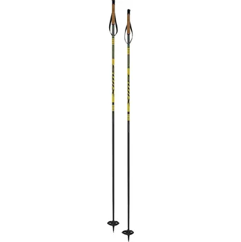 Běžecké lyžování Běžecké hole Swix Infinity Touring Délka holí:: 130 cm / Barva:: Zelená