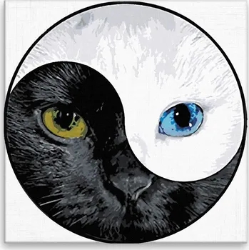 Malování podle čísel - Černá vs bílá - 40x40 cm, bez dřevěného rámu - CZ výroba