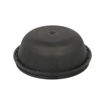 Víčko (kryt) náboje kola pro RENAULT KERAX, MAGNUM, MIDLUM, PREMIUM, PREMIUM 2 (04.96-) 20904