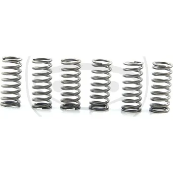 Sada spojkových pružin KAWASAKI KLX 300 rok 98-03