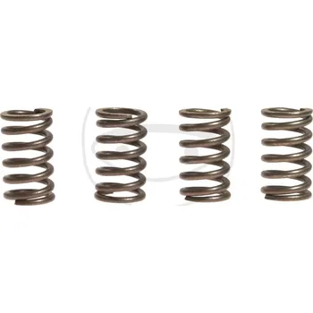 Sada spojkových pružin SUZUKI GSX-R 1100 rok 86-88