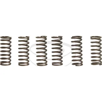 Sada spojkových pružin YAMAHA SZR 660 rok 95-98