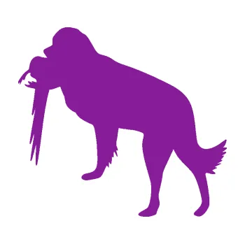 Polep vozidla SAMOLEPKA Pes 193 levá lovecký s bažantem (14 - fialová) NA AUTO, NÁLEPKA, FÓLIE, POLEP, TUNING, VLASTNÍ TEXT, TISK, AUTOSAMOLEPKY.cz, POLEPY, OBRÁZEK, LOGO, SAMOLEPKY