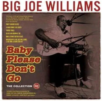 Zahraniční hudba 5CD Big Joe Williams: Baby Please Don't Go - The Collection 1935-62 2024