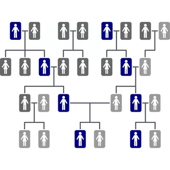 Diagnostický test Test původu z otcovy strany PLUS