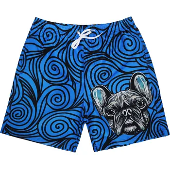 Pánské plavky FANNIFEN Pánské koupací šortky J20523 Barva: Modrá, Velikost: 2XL