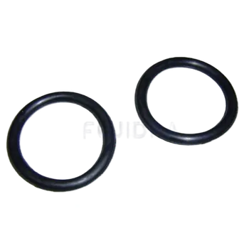 Pooltechnika Těsnění torické 60x8mm připojení Artic