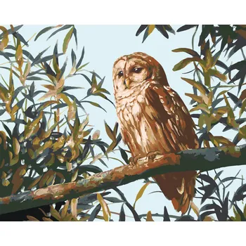 ZUTY Malování podle čísel - SOVA NA VĚTVI A LISTY (D. RUSTY RUST) Rozměr: 40x50 cm, Rámování: vypnuté plátno na rám