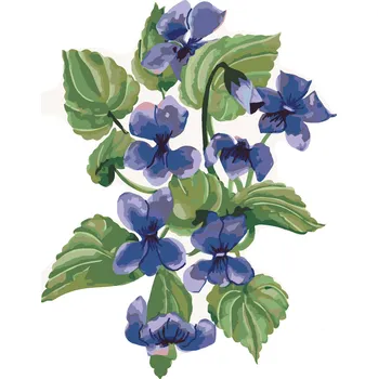 ZUTY Malování podle čísel - FIALKY (ALEXANDRIA GILBERT) Rozměr: 40x50 cm, Rámování: vypnuté plátno na rám