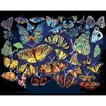 Hračka ZUTY Malování podle čísel - BAREVNÍ MOTÝLI (D. RUSTY RUST) Rozměr: 40x50 cm, Rámování: bez rámu a bez vypnutí plátna