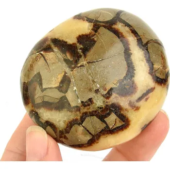 Sběratelství Hladký kámen septarie z Madagaskaru 177g