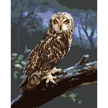 ZUTY Malování podle čísel - SOVA NA KLÁDĚ V NOCI (D. RUSTY RUST) Rozměr: 40x50 cm, Rámování: vypnuté plátno na rám