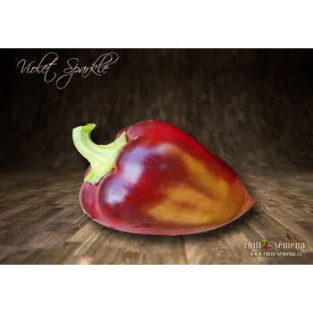 Semeno chilli-semena chilli paprička Violet Sparkle 10 ks