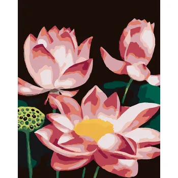 ZUTY Malování podle čísel - RŮŽOVÝ LEKNÍN (MYROSLAVA VOLOSCHUK) Rozměr: 40x50 cm, Rámování: bez rámu a bez vypnutí plátna