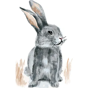 ZUTY Malování podle čísel - KRÁLÍK SEDÍCÍ NA POLI Rozměr: 40x50 cm, Rámování: vypnuté plátno na rám