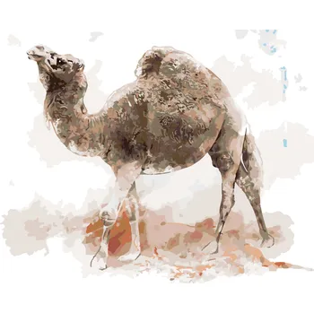 ZUTY Malování podle čísel - VELBLOUD Rozměr: 40x50 cm, Rámování: bez rámu a bez vypnutí plátna