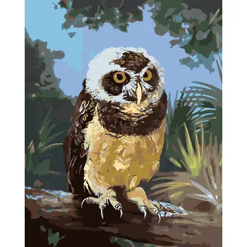 ZUTY Malování podle čísel - SOVA SEDÍCÍ NA KLÁDĚ (D. RUSTY RUST) Rozměr: 40x50 cm, Rámování: bez rámu a bez vypnutí plátna