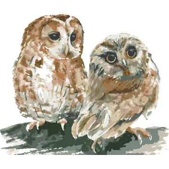 ZUTY Malování podle čísel - DVĚ SOVY NA BÍLÉM POZADÍ Rozměr: 40x50 cm, Rámování: bez rámu a bez vypnutí plátna