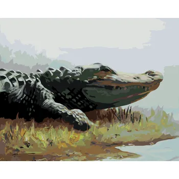 ZUTY Malování podle čísel - ALIGÁTOR LEŽÍCÍ V TRÁVĚ U VODY (D. RUSTY RUST) Rozměr: 40x50 cm, Rámování: bez rámu a bez vypnutí plátna