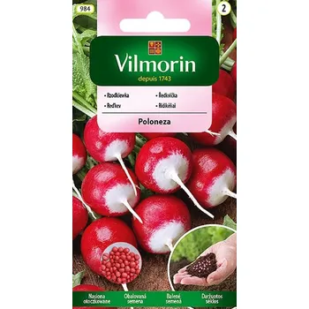 Semeno Ředkvička Poloneza (červenobílá, obalovaná semena)