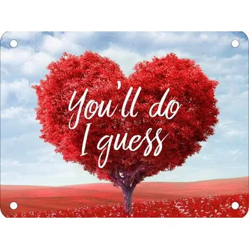 Plechová cedule Plechová Cedule You'll do I guess