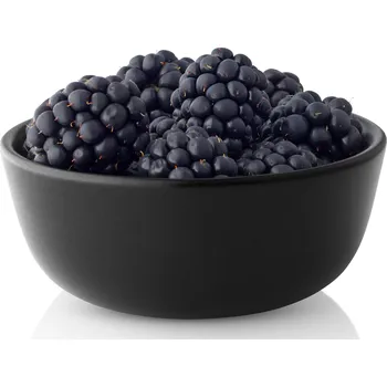 Talíř Mini miska 0,15 ltr. Ø10 cm NORDIC KITCHEN, Eva Solo ▪ Kč 340 ️ - Luxurytable.cz Eva Solo