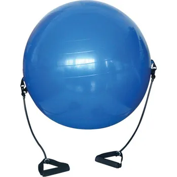 Gymnastický míč Gymnastický míč s expandéry ACRA 65 cm