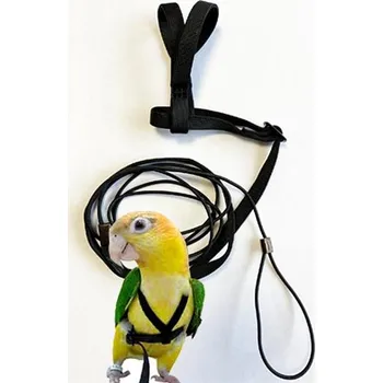 Pro ptáka Terra International Kšandy pro papoušky L