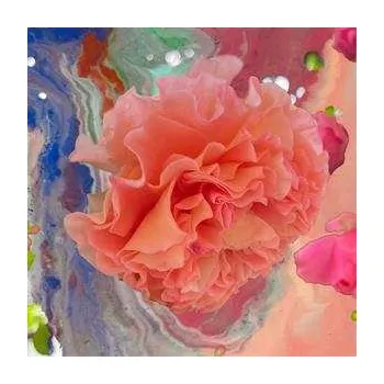 Zahraniční hudba LP Conic Rose: Heller Tag 2023