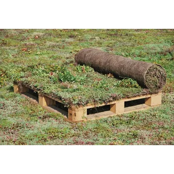 Koberec AGRO CS Rozchodníkové koberce 201 a více m2