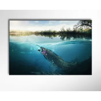 Obraz Malvis ® Obraz Pstruh pod vodou ROZMĚR (šířka x výška): jednodílný obdélník 60x40 cm