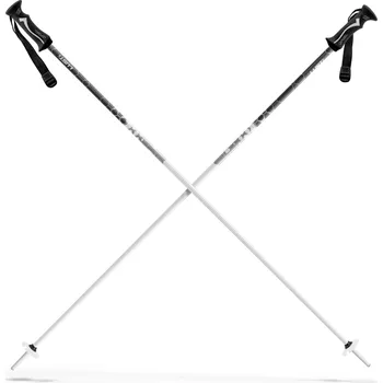 Sjezdové lyžování Sjezdové hole Lusti Sport 2022/23