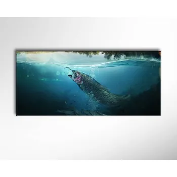Malvis ® Obraz Pstruh pod vodou ROZMĚR (šířka x výška): jednodílný obdélník 100x45 cm