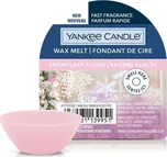 Yankee Candle Vonný vosk 22 g