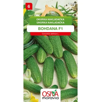 Semeno Osiva Moravia Okurka nakladačka Bohdana F1 1,5 g