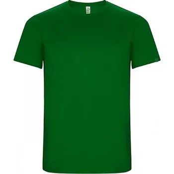 Pánské tričko Tričko ROLY IMOLA, barva zelená kapradí, velikost 4 roky