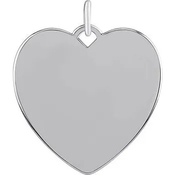 Přívěsek Stříbrný přívěsek srdce Taylor JJJ2272P