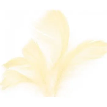 Peří - krémové - 10 g - 229002