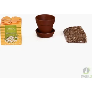 Semeno Vypěstuj si sedmikrásku