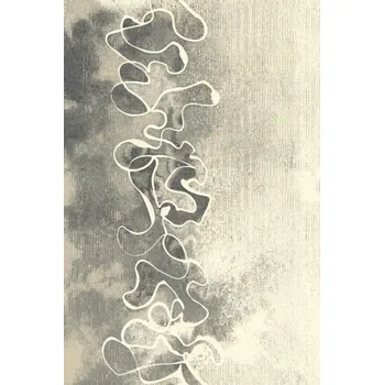 Koberec Kusový koberec Aszra šedý 200 x 300 cm