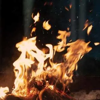 Zahraniční hudba LP Fran: Leaving 2023