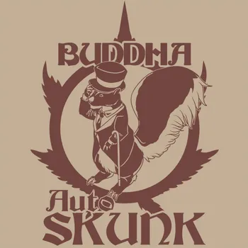 Semeno Buddha Auto Skunk fem. | Classics (balení 3)
